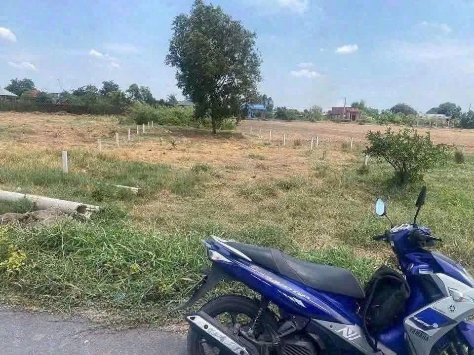 Bán đất thổ cư 338m² mặt tiền đường Tân Lân Cần Giờ - Ảnh thu nhỏ 3