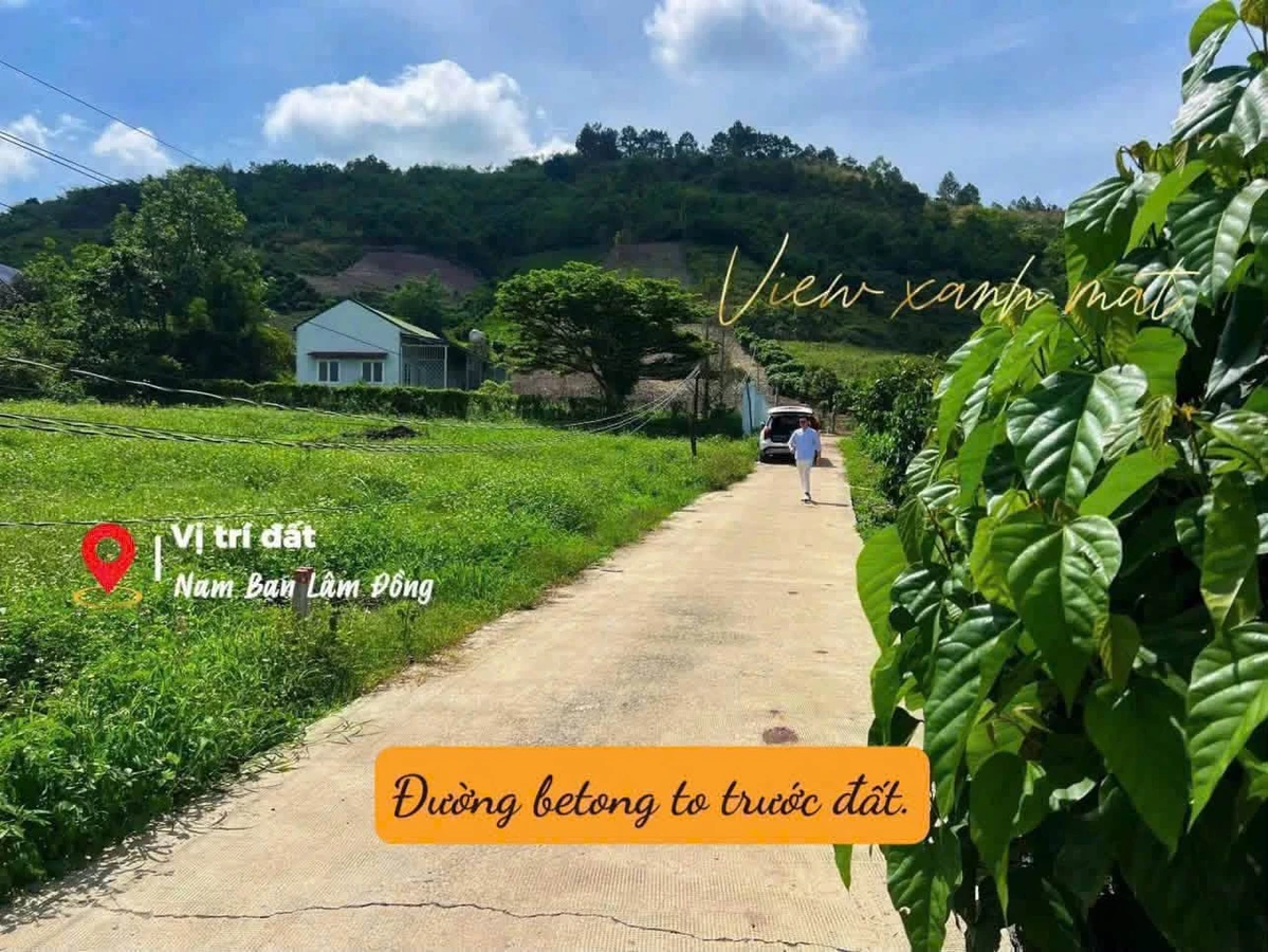 Bán đất Nam Ban Đà Lạt 174m² 599 triệu - Ảnh thu nhỏ 4