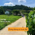 Bán đất Nam Ban Đà Lạt 174m² 599 triệu - Ảnh thu nhỏ 4