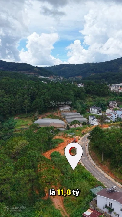Bán đất xây dựng view rừng thông An Sơn Thành phố Đà Lạt - Ảnh 1