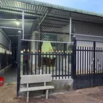 Nhà bán Bù Đốp Bình Phước 131 m² giá 500 triệu - Ảnh thu nhỏ 2