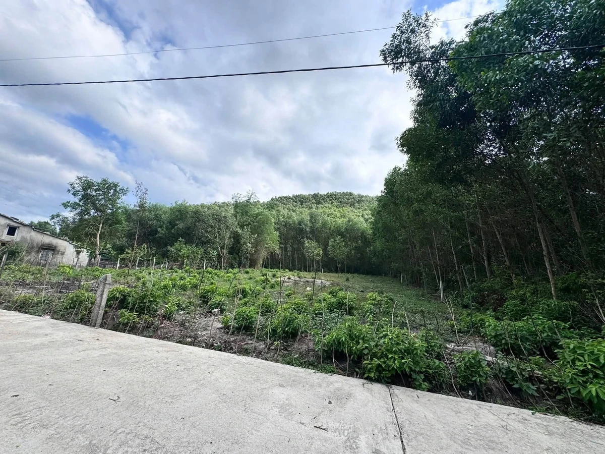 Bán đất vườn 1450m² Hoà Vang, Đà Nẵng, giá 1 tỷ - Ảnh 1