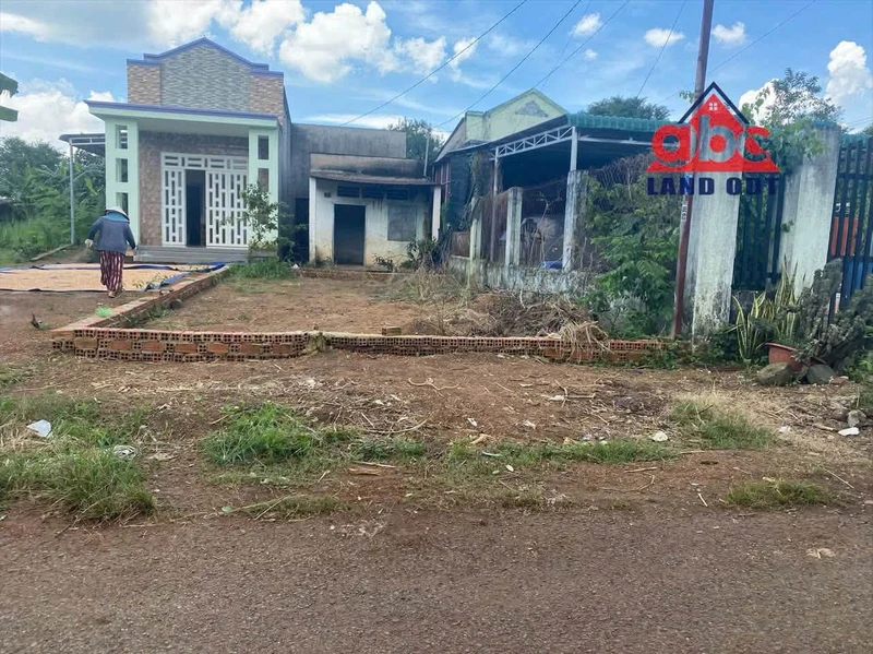 Bán 2 lô đất mặt tiền Nông Cơ Xã Sông Thao, 70m² và 100m²