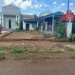 Bán 2 lô đất mặt tiền Nông Cơ Xã Sông Thao, 70m² và 100m² - Ảnh thu nhỏ 1
