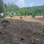 Bán đất cao su non mặt tiền Đường Bao La, Bình Chánh, 70.000 m², 1 tỷ 2 - Ảnh thu nhỏ 3