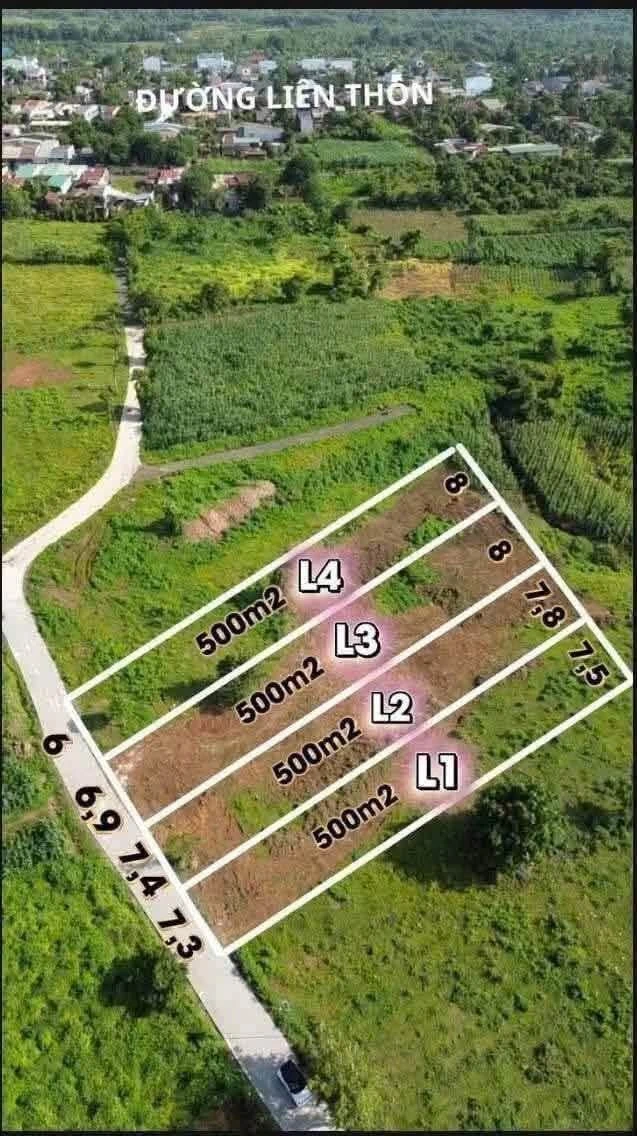 Bán đất 500m2 Thôn 8 Phường Bình Mỹ Tây 495 triệu - Ảnh 1
