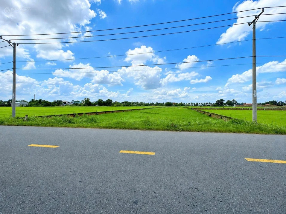 Bán đất 3852.3m2 sổ hồng riêng - Thị trấn Bến Cầu, Huyện Bến Cầu, Tây Ninh - Ảnh thu nhỏ 3