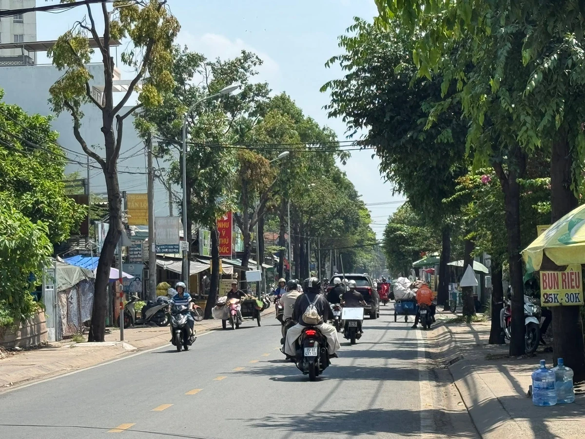 Bán đất mặt đường Linh Đông Thủ Đức 495m2 - Ảnh thu nhỏ 3