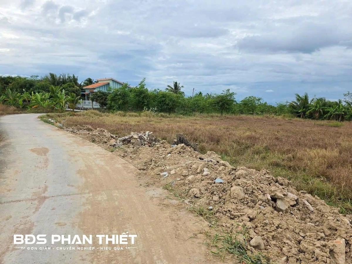 Bán đất 1.000 m² quy hoạch thổ cư, Kim Bình, Phan Thiết - Ảnh thu nhỏ 2