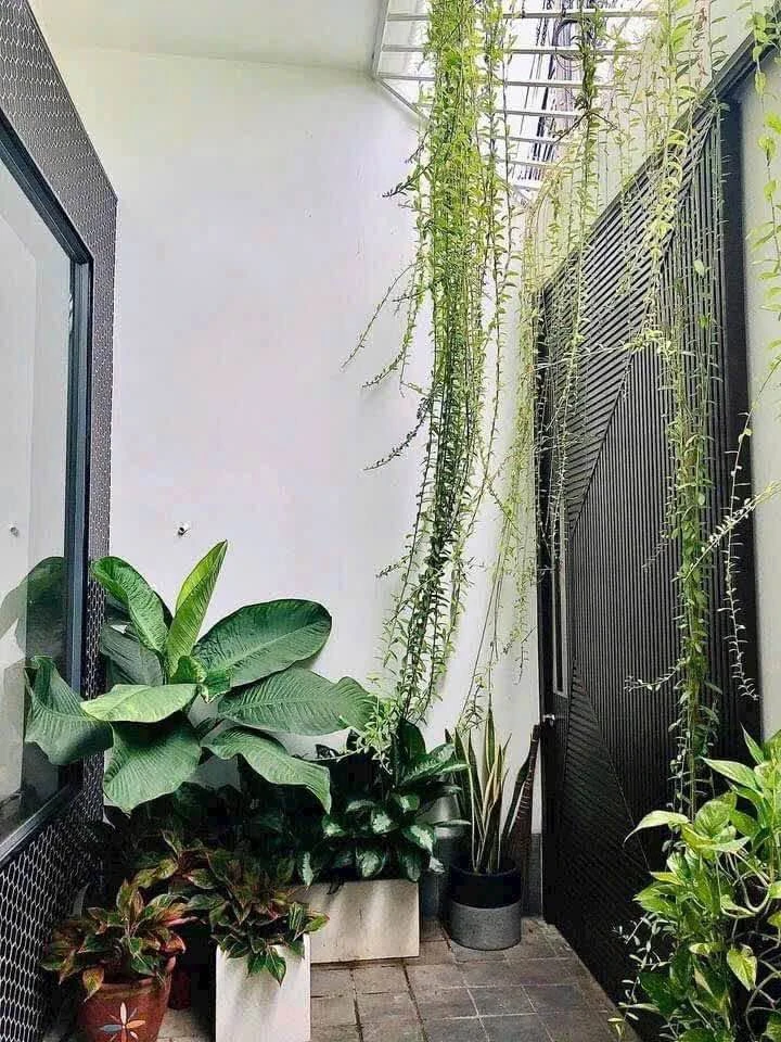 Bán nhà 1T1L 90.6m2 Tôn Đức Thắng Lâm Đồng - Ảnh thu nhỏ 3