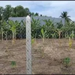 Bán nền góc 2 mặt tiền 429m2 tại Thủ Thừa, Tây Ninh - 1 tỷ 600 triệu - Ảnh thu nhỏ 4