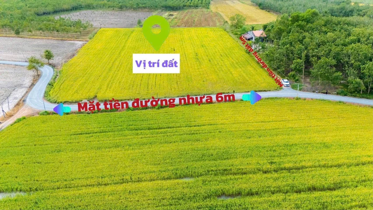 Bán đất mặt tiền Tây Ninh 250m² 189 triệu - Ảnh thu nhỏ 3
