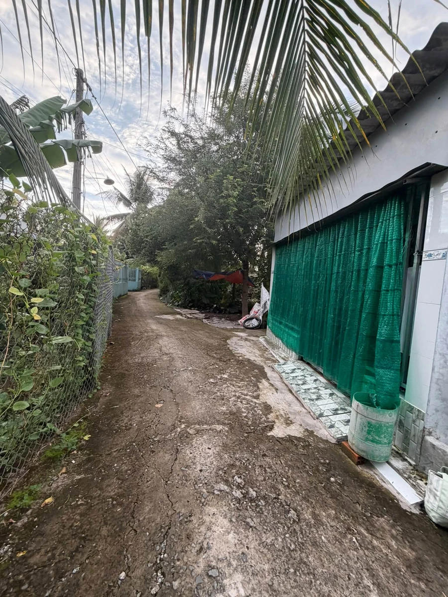 Bán nền đất Châu Thành Long An 103.5m² giá 380 triệu - Ảnh thu nhỏ 2