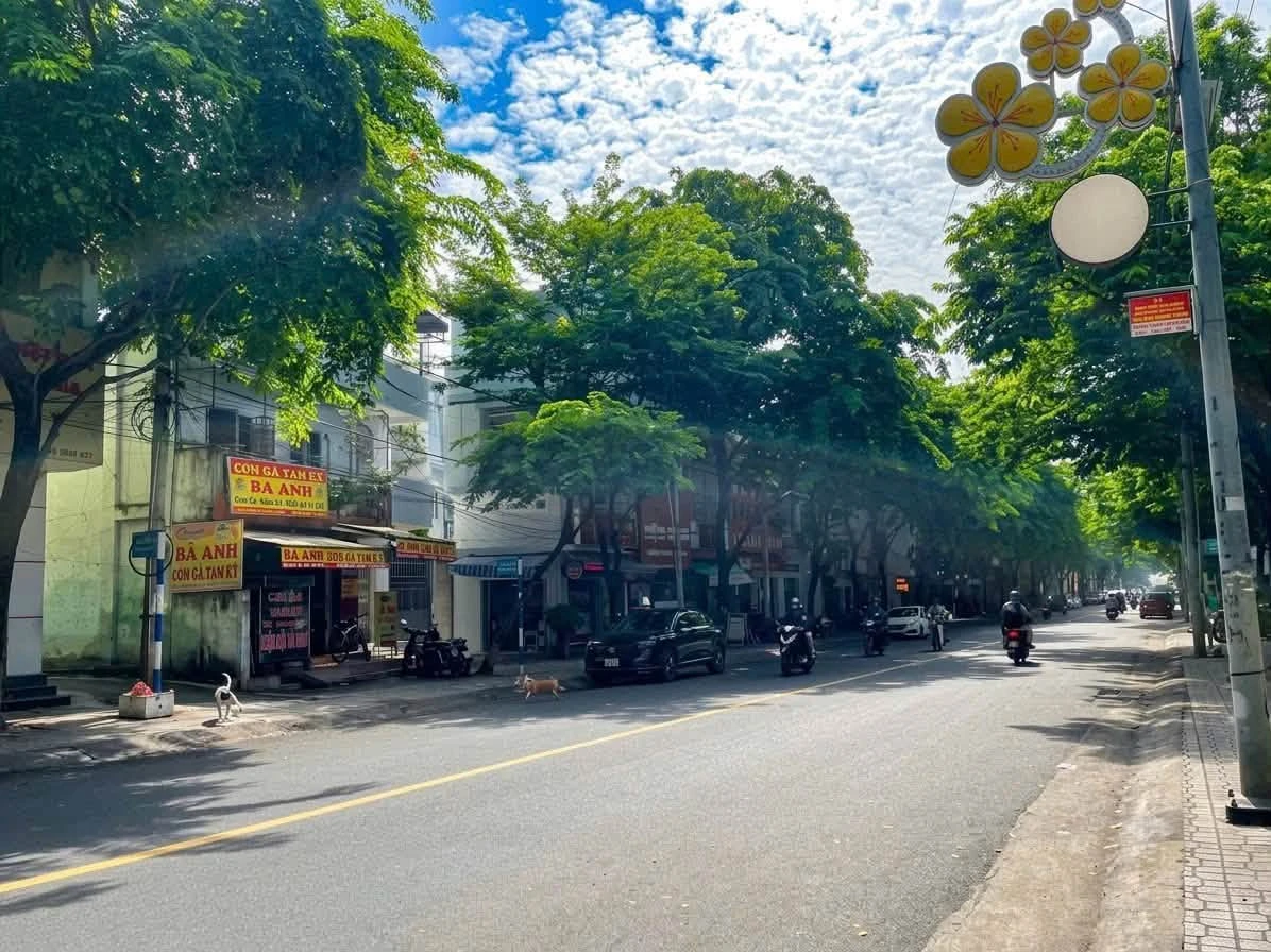 Bán đất 56m2 mặt tiền kép trung tâm Hồ Chí Minh - Ảnh thu nhỏ 4