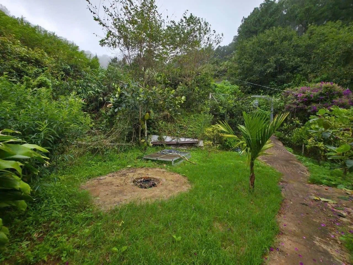 Bán đất vườn 1.125m² view hồ Trị An, Định Quán - Ảnh thu nhỏ 3