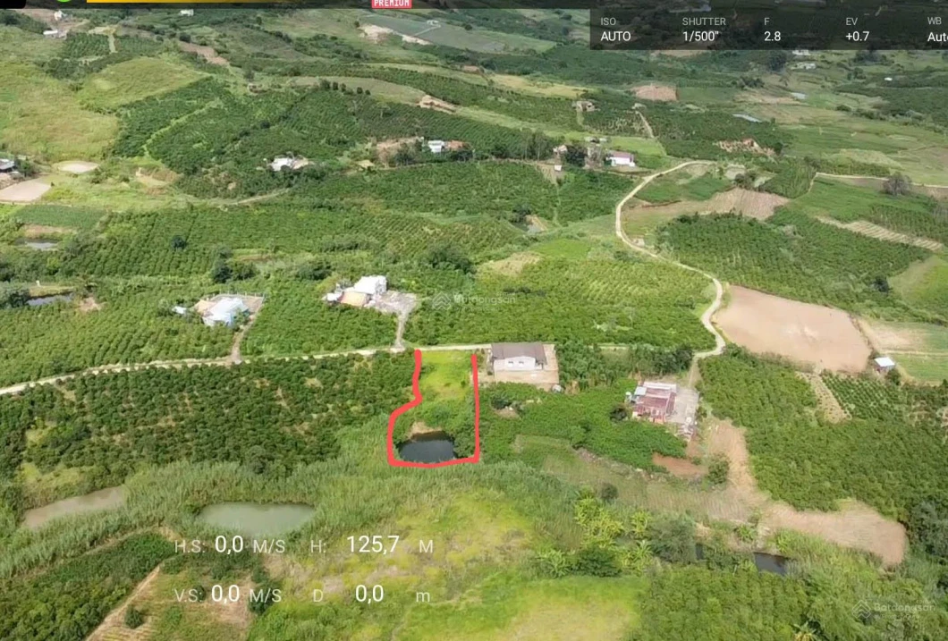Bán đất 1.670m2 đất vườn có 200m2 thổ cư tại Tân Hà, Lâm Hà, Lâm Đồng, giá chỉ 870tr - Ảnh thu nhỏ 4