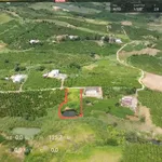 Bán đất 1.670m2 đất vườn có 200m2 thổ cư tại Tân Hà, Lâm Hà, Lâm Đồng, giá chỉ 870tr - Ảnh thu nhỏ 4
