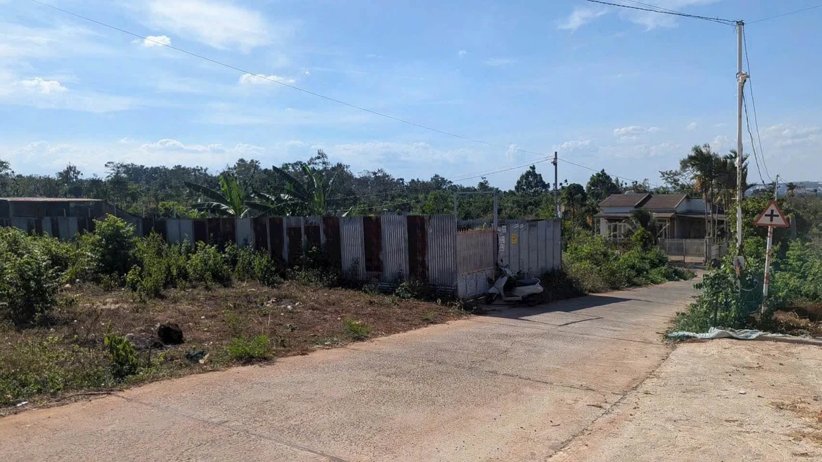 Bán đất Kom Leo 263,5m² giá 1 tỷ 250 triệu - Ảnh thu nhỏ 2