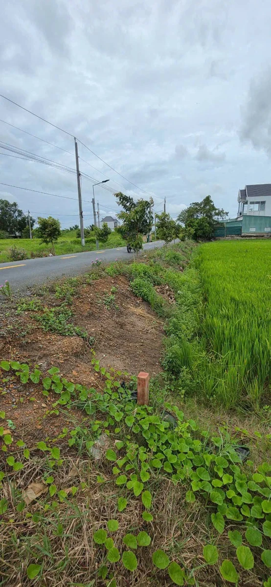 Bán 1000m² đất thổ cư Mỹ Lệ, Cần Dước 3,8 tỷ - Ảnh thu nhỏ 3
