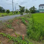 Bán 1000m² đất thổ cư Mỹ Lệ, Cần Dước 3,8 tỷ - Ảnh thu nhỏ 3