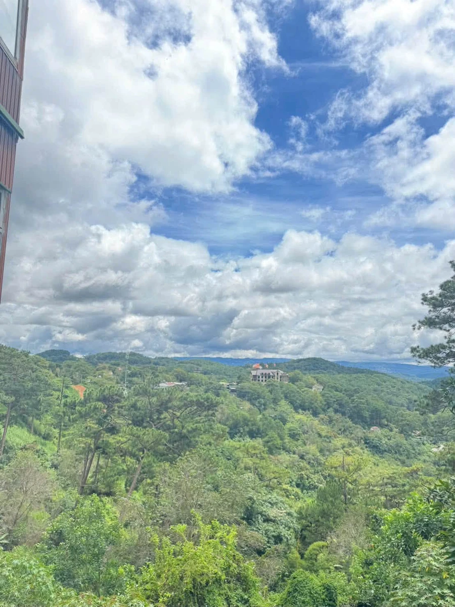 Bán đất 45m² view rừng thông Đà Lạt tặng nhà - Ảnh thu nhỏ 3