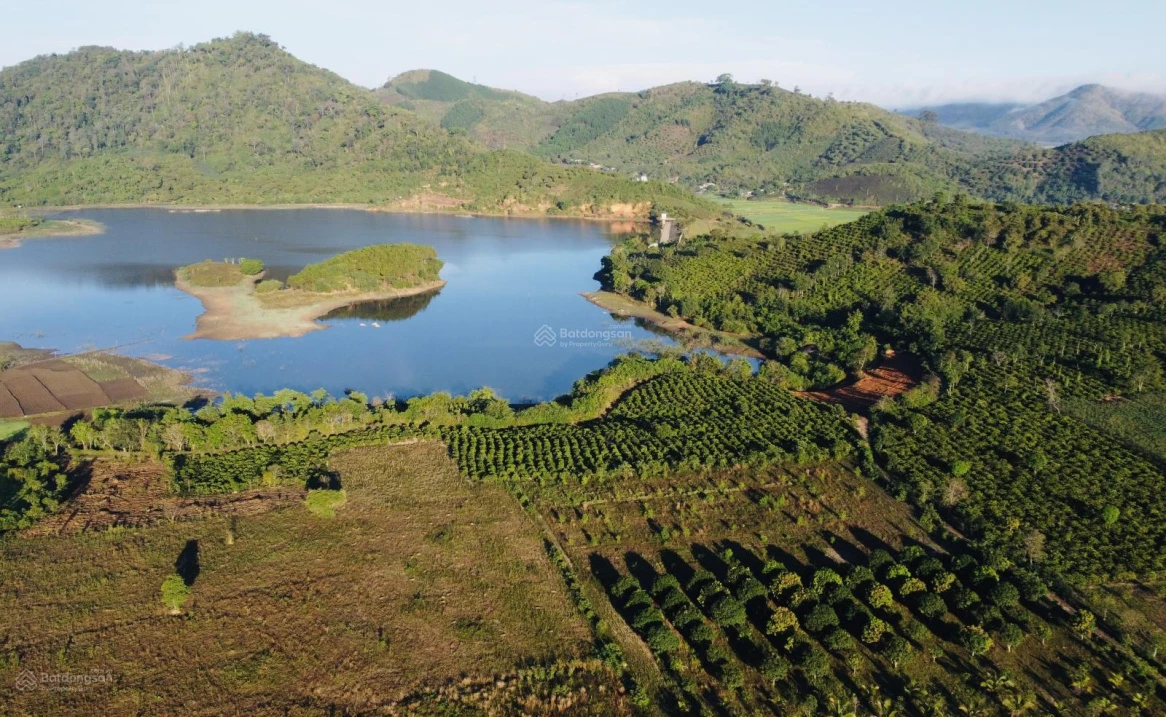 Bán mảnh đất siêu đẹp tại xã Krông Bông, Đắk Lắk, giá siêu tốt chỉ 250 triệu, 2.500m2 view hồ - Ảnh thu nhỏ 3