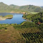 Bán mảnh đất siêu đẹp tại xã Krông Bông, Đắk Lắk, giá siêu tốt chỉ 250 triệu, 2.500m2 view hồ - Ảnh thu nhỏ 3