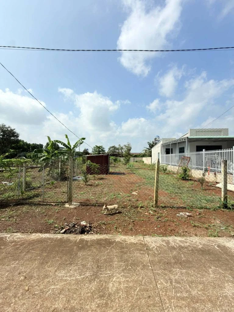 Bán đất vườn 500m² Bảo Vinh, Đồng Nai, 1 tỷ 090 triệu - Ảnh thu nhỏ 4