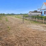 Bán đất mặt tiền 3532 m² Xã Lương Hoà Lạc, Đồng Tháp - Ảnh thu nhỏ 1