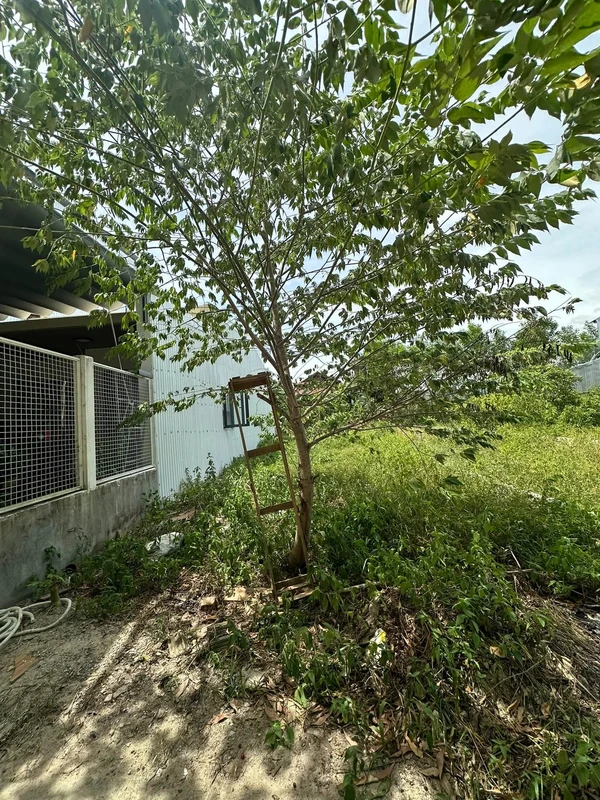 Bán đất thổ cư 122 m² Nam Thành, Đà Nẵng 1 tỷ 350 triệu