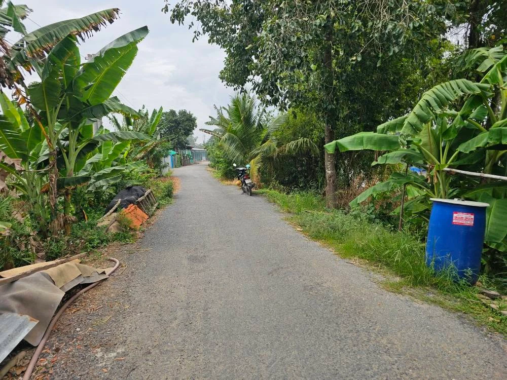 Bán đất nền thổ 100% mặt tiền 5.5x38m tại Thanh Bình, Đồng Tháp - Ảnh thu nhỏ 2