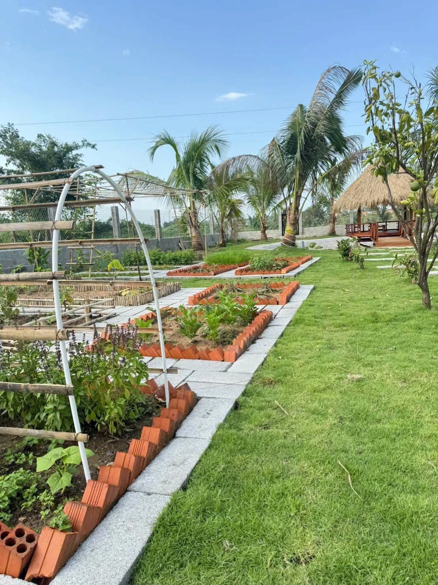 Nhà vườn nghỉ dưỡng Phan Thiết 1.606m² giá 1 tỷ 850 triệu - Ảnh thu nhỏ 5