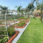Nhà vườn nghỉ dưỡng Phan Thiết 1.606m² giá 1 tỷ 850 triệu - Ảnh thu nhỏ 5