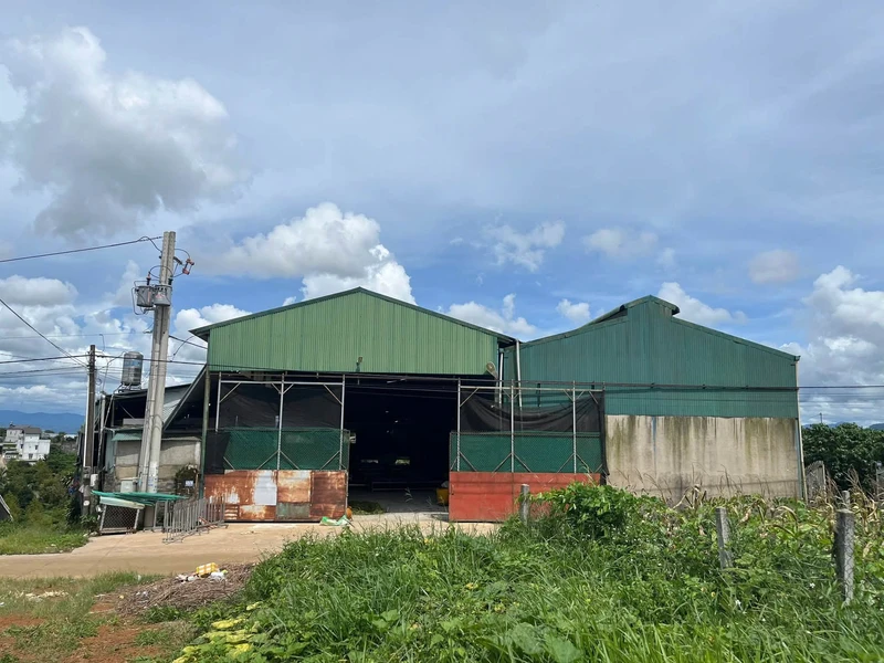 Bán kho xưởng cà phê 3.102m² giá 6 tỷ Bảo Lộc