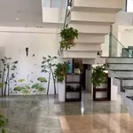 Bán tòa nhà 6 tầng 300m2 đường Lê Văn Lương, Sơn Trà, Đà Nẵng, giá 35.x tỷ - Ảnh thu nhỏ 4