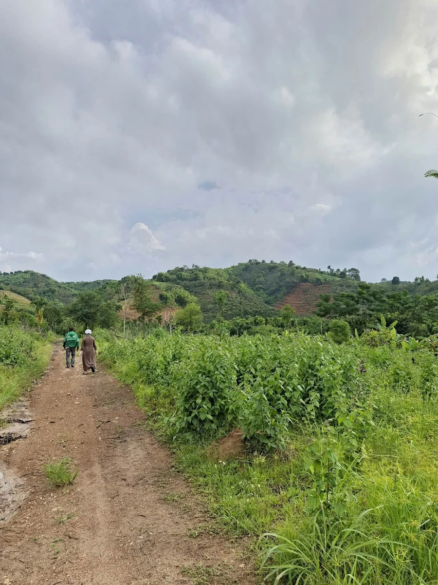 Bán đất trống 1,3ha (thực tế 1,5ha) giá 151 triệu/sào gần KCN Hoà Phú, Đắk Lắk - Ảnh 1