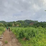 Bán đất trống 1,3ha (thực tế 1,5ha) giá 151 triệu/sào gần KCN Hoà Phú, Đắk Lắk - Ảnh thu nhỏ 1