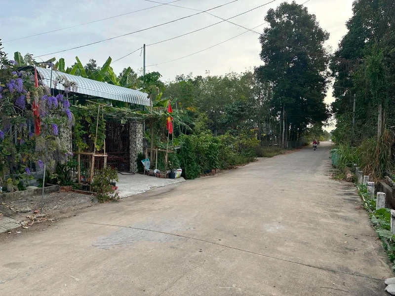 Bán đất Bê-tông Phước Vĩnh 4800m2 830 triệu