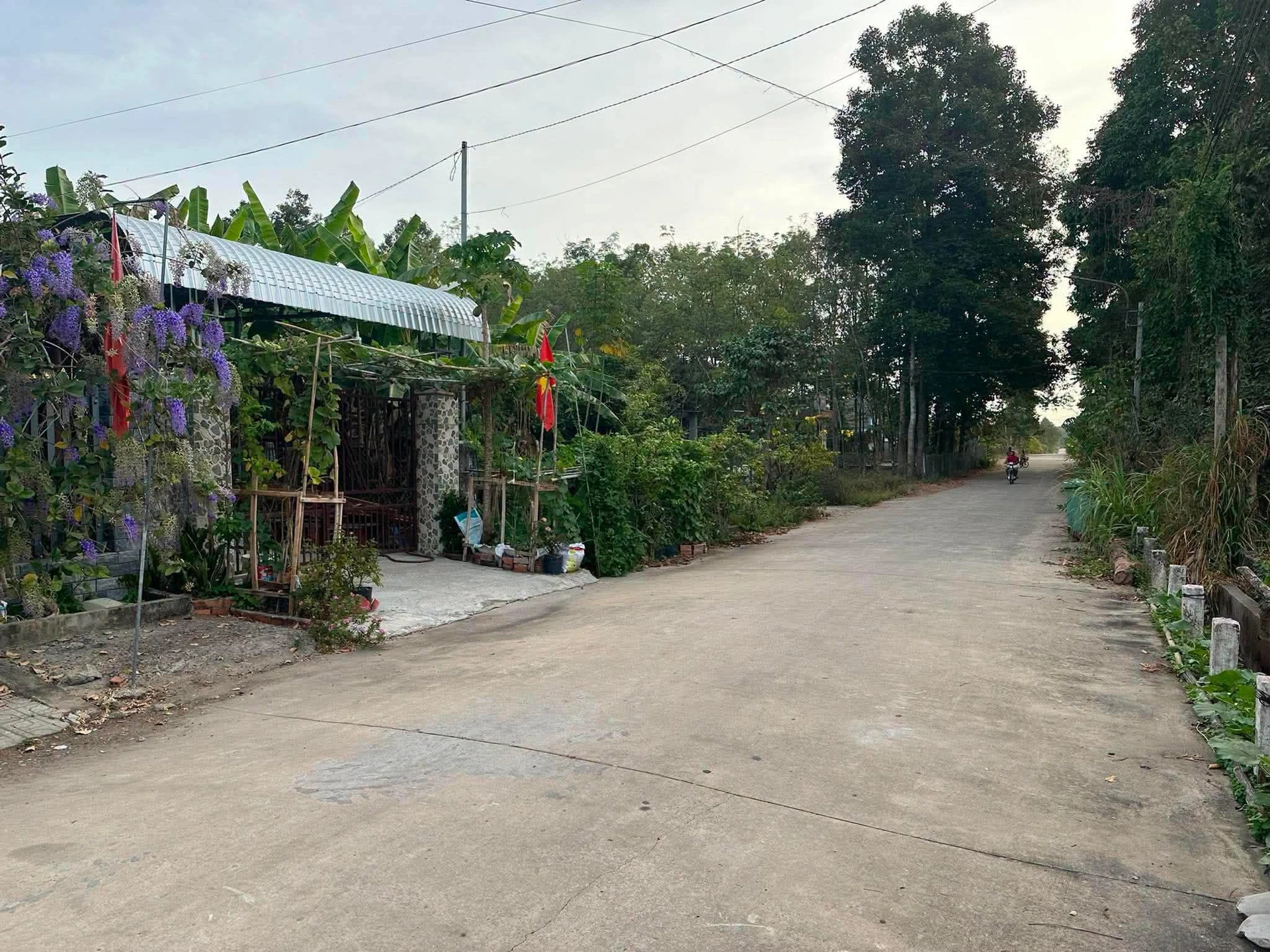 Bán đất Bê-tông Phước Vĩnh 4800m2 830 triệu - Ảnh 1