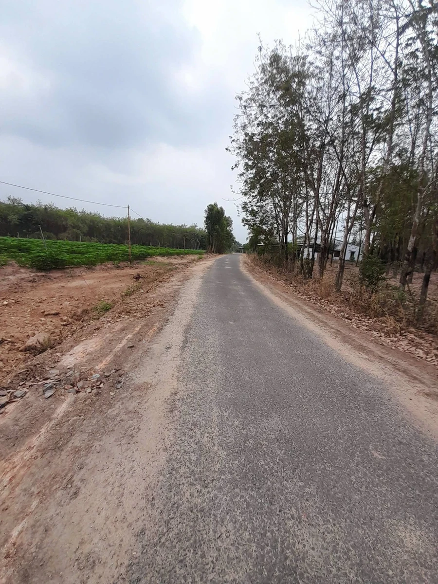 Bán 2 công đất mặt tiền đường Phước Vinh 398 triệu - Ảnh thu nhỏ 2