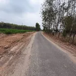 Bán 2 công đất mặt tiền đường Phước Vinh 398 triệu - Ảnh thu nhỏ 2