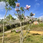 Bán nhà đất khu nghỉ dưỡng kết hợp kinh doanh - Ảnh thu nhỏ 3
