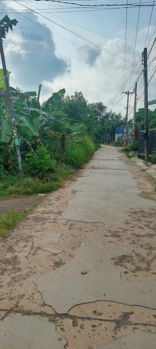 Bán đất sổ riêng Vĩnh Cửu Bình Dương 127m², 800 triệu - Ảnh thu nhỏ 4