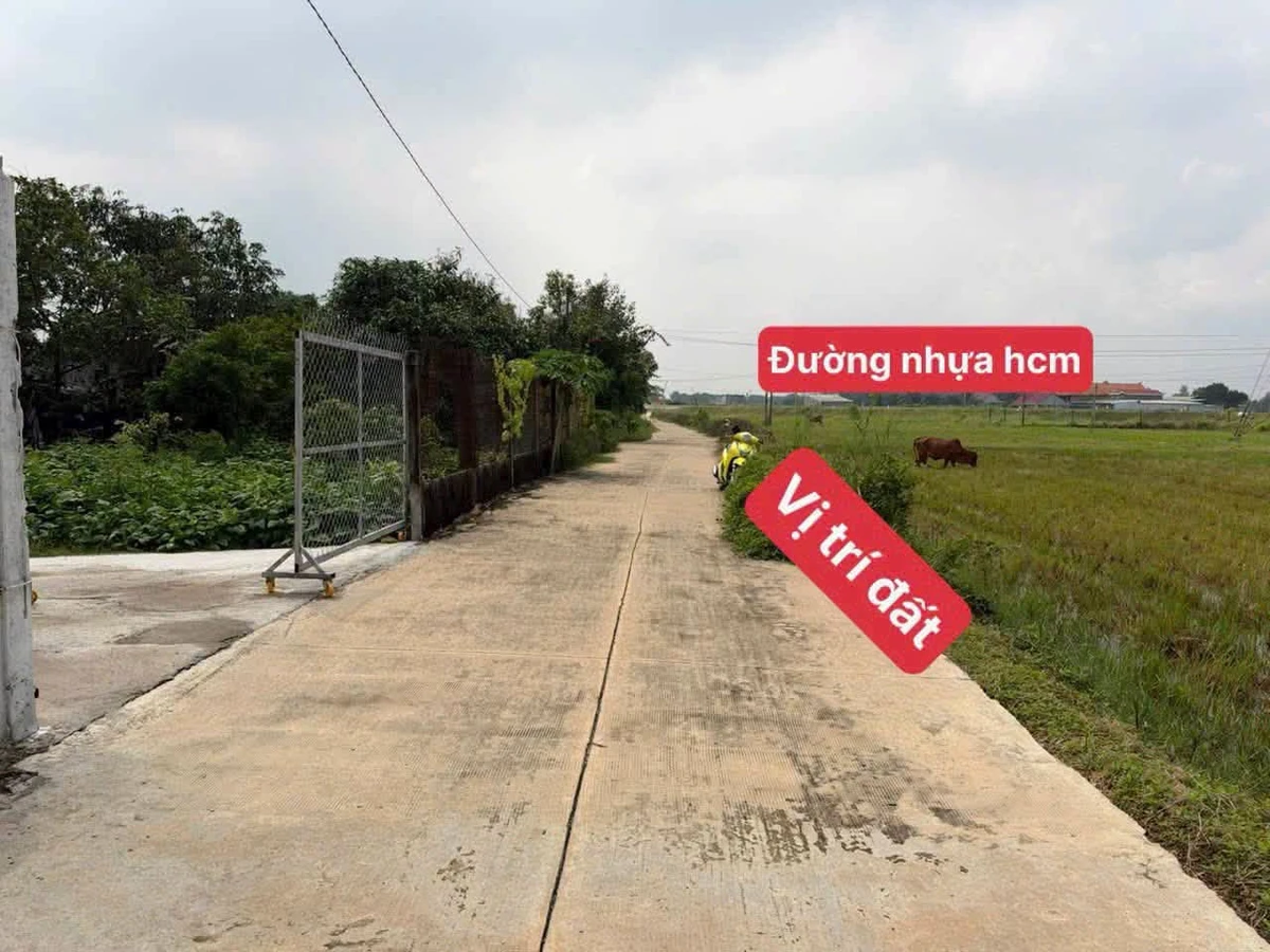 Bán đất thổ cư Hòa Long 450m² 1,9 tỷ - Ảnh 1