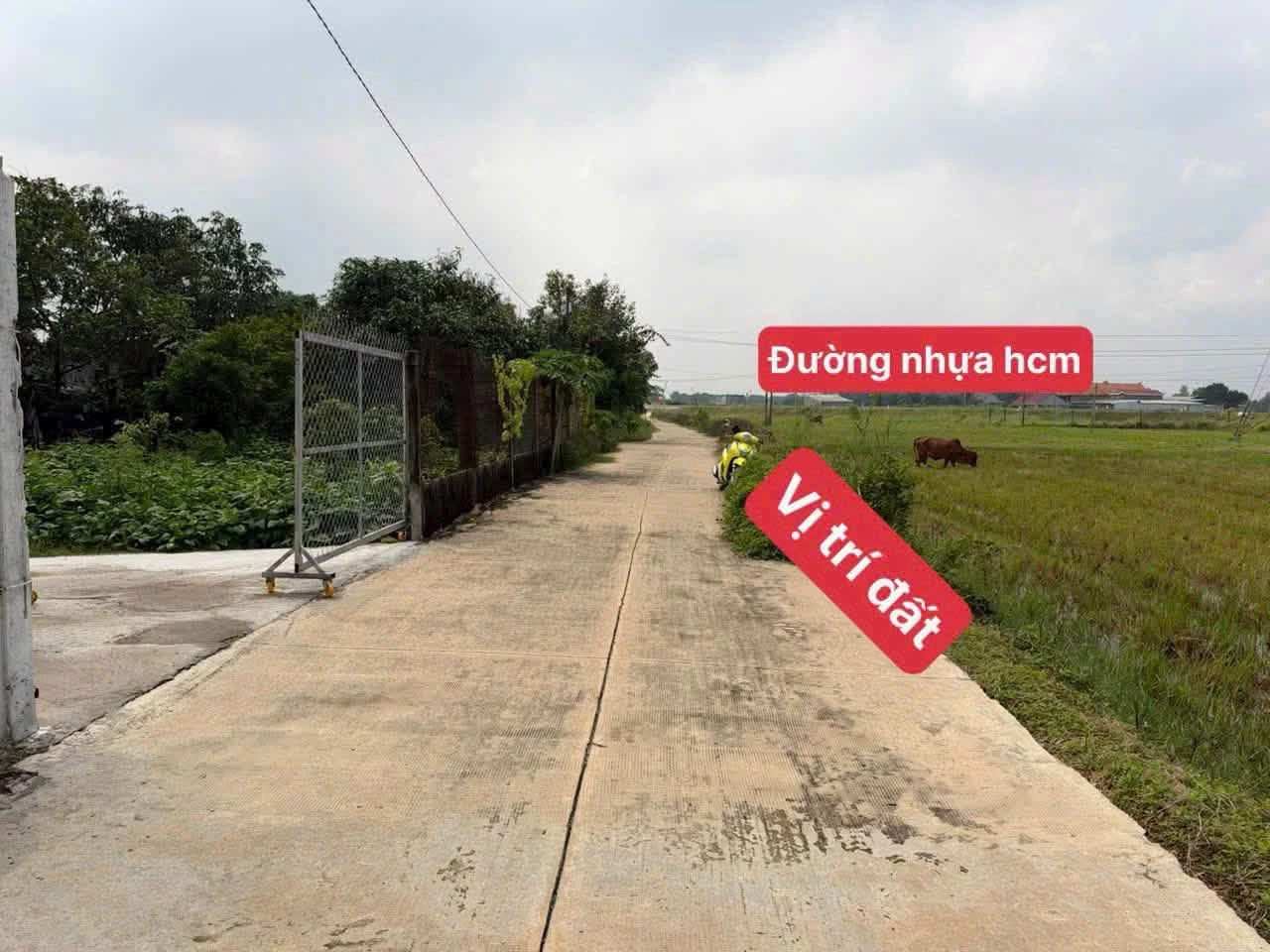 Bán đất thổ cư Hòa Long 450m² 1,9 tỷ - Ảnh 1