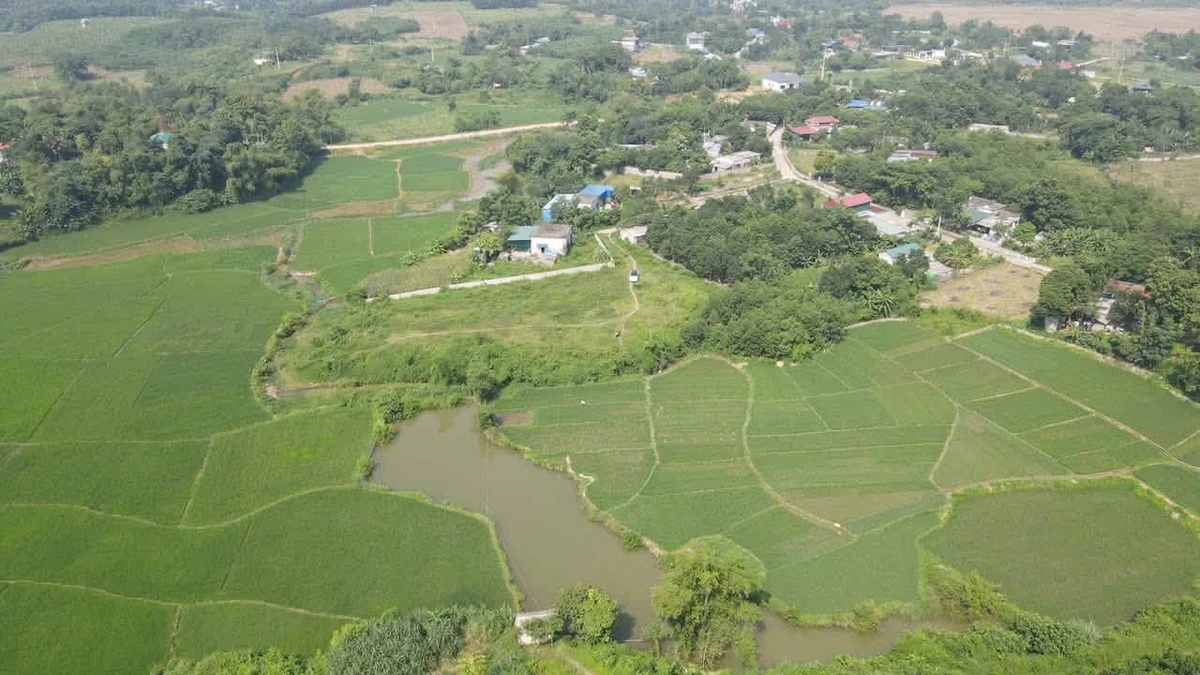 Bán đất 2500m2 có 1300m2 đất ở tại Mỵ Hòa, Kim Bôi, Hòa Bình - Ảnh thu nhỏ 2
