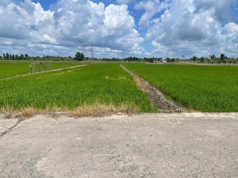 Bán đất 961,9 m² Long An giá 2 tỷ 3
