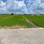 Bán đất 961,9 m² Long An giá 2 tỷ 3 - Ảnh thu nhỏ 1
