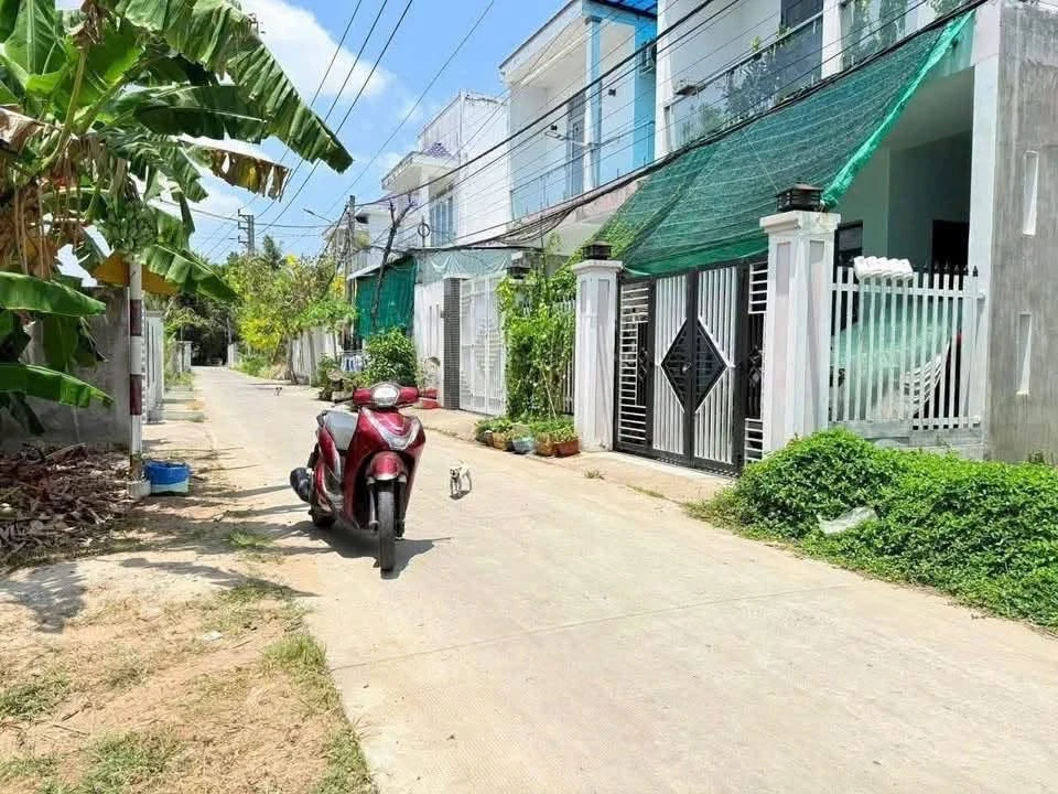 Bán nền đất 98m² tại Xã Phú Nhuận, Bến Tre - Ảnh thu nhỏ 3