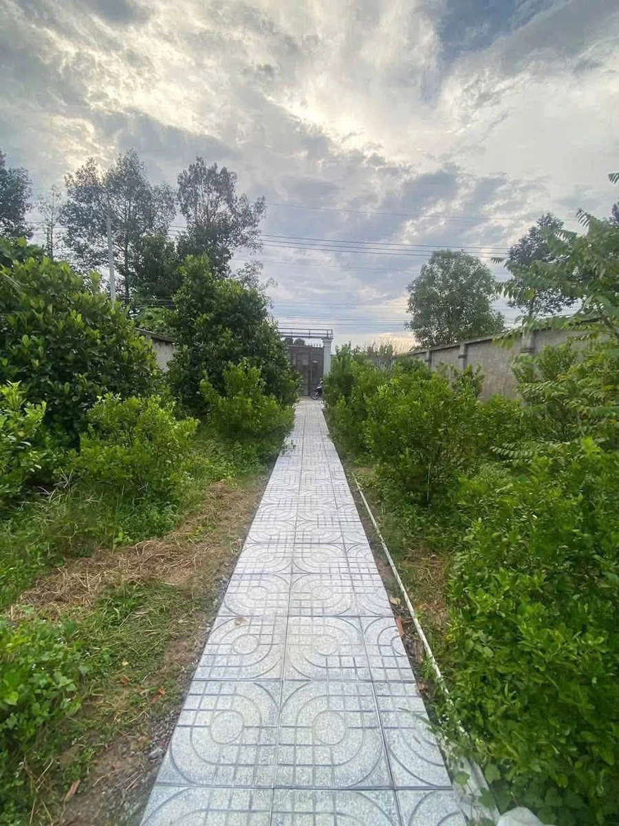 Nhà vườn 500m² Xã Giang Điền, Trảng Bom giá 1 tỉ 8 - Ảnh thu nhỏ 4